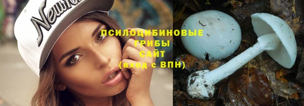прущая мука Богданович
