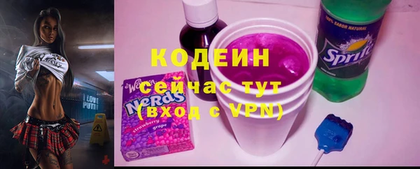 спиды Богородицк