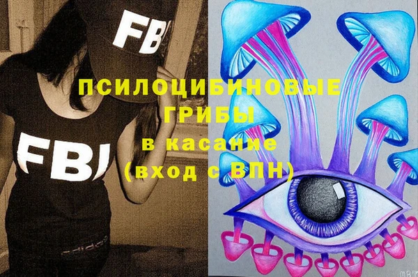 метадон Белокуриха
