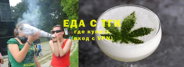 спиды Богородицк
