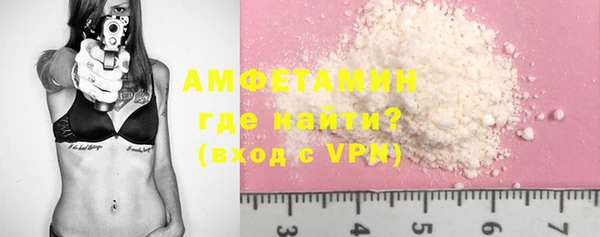 спиды Богородицк