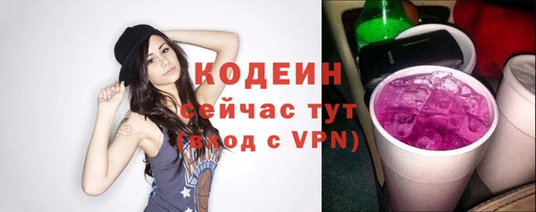 спиды Богородицк