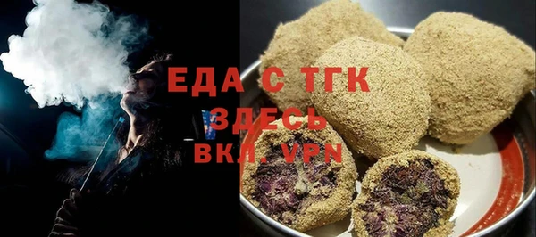 хмурый Пересвет