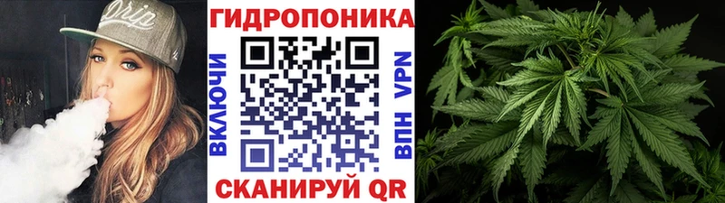 где найти   Пересвет  МАРИХУАНА гибрид 
